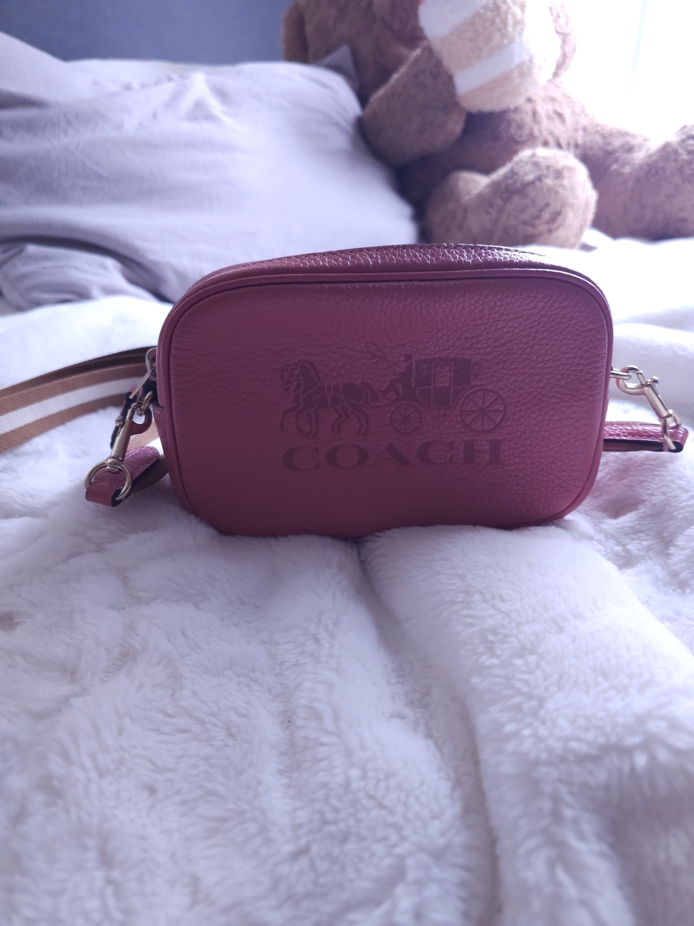 COACH Rose Pink Pebbled Leather Crossbody Camera Bag with Striped Strap